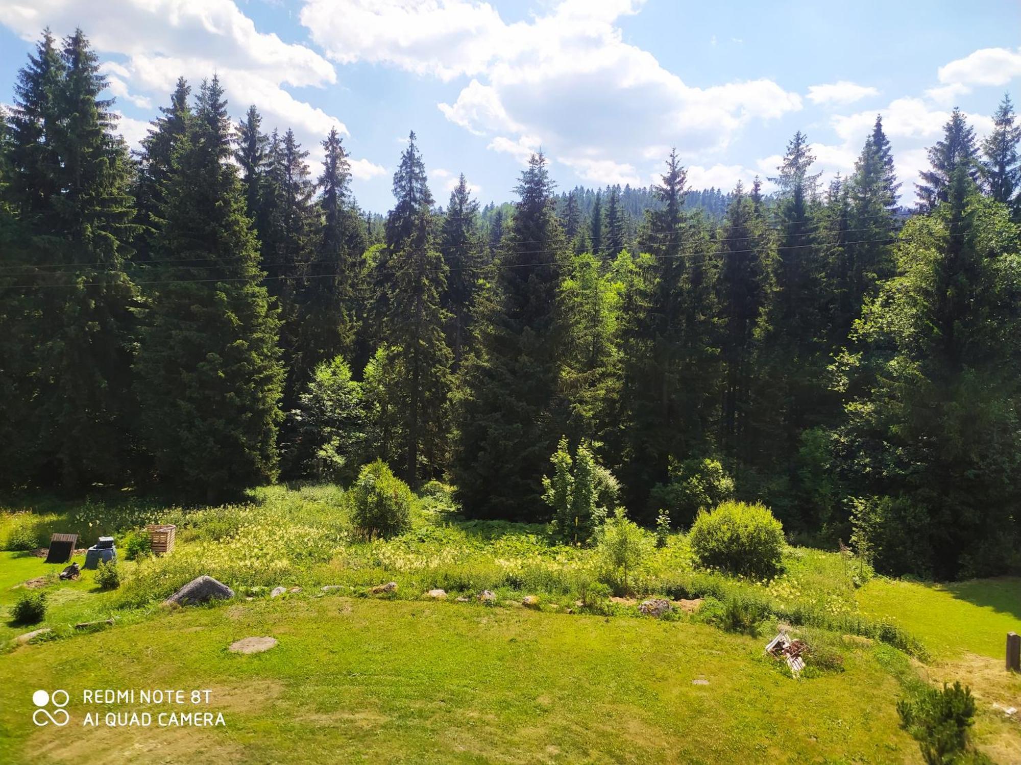 Wellness Penzion Triola Kořenov Dış mekan fotoğraf